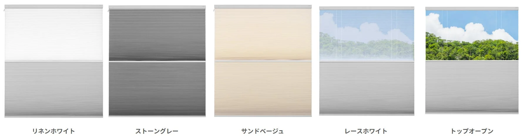 異なる色とスタイルのプリーツスクリーンが5種類並べられています