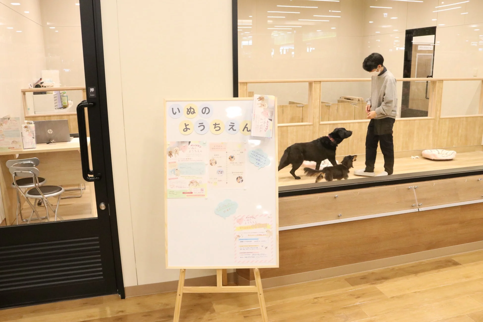 いぬのようちえん