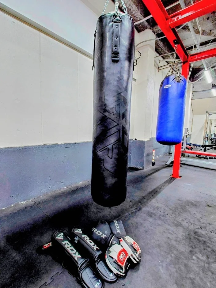 ジムの一角で、黒いサンドバッグと青いサンドバッグが吊るされています
