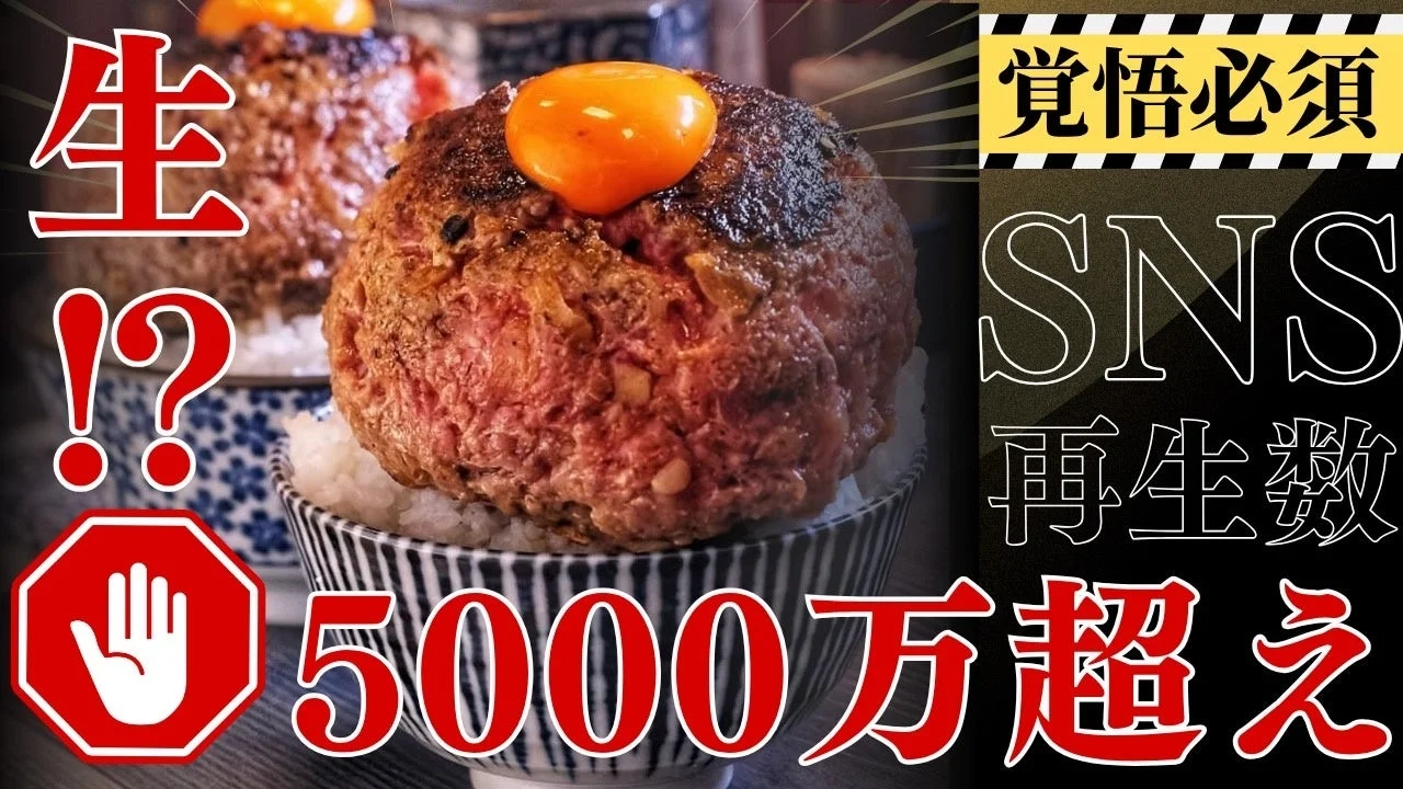 生肉ハンバーグと卵黄