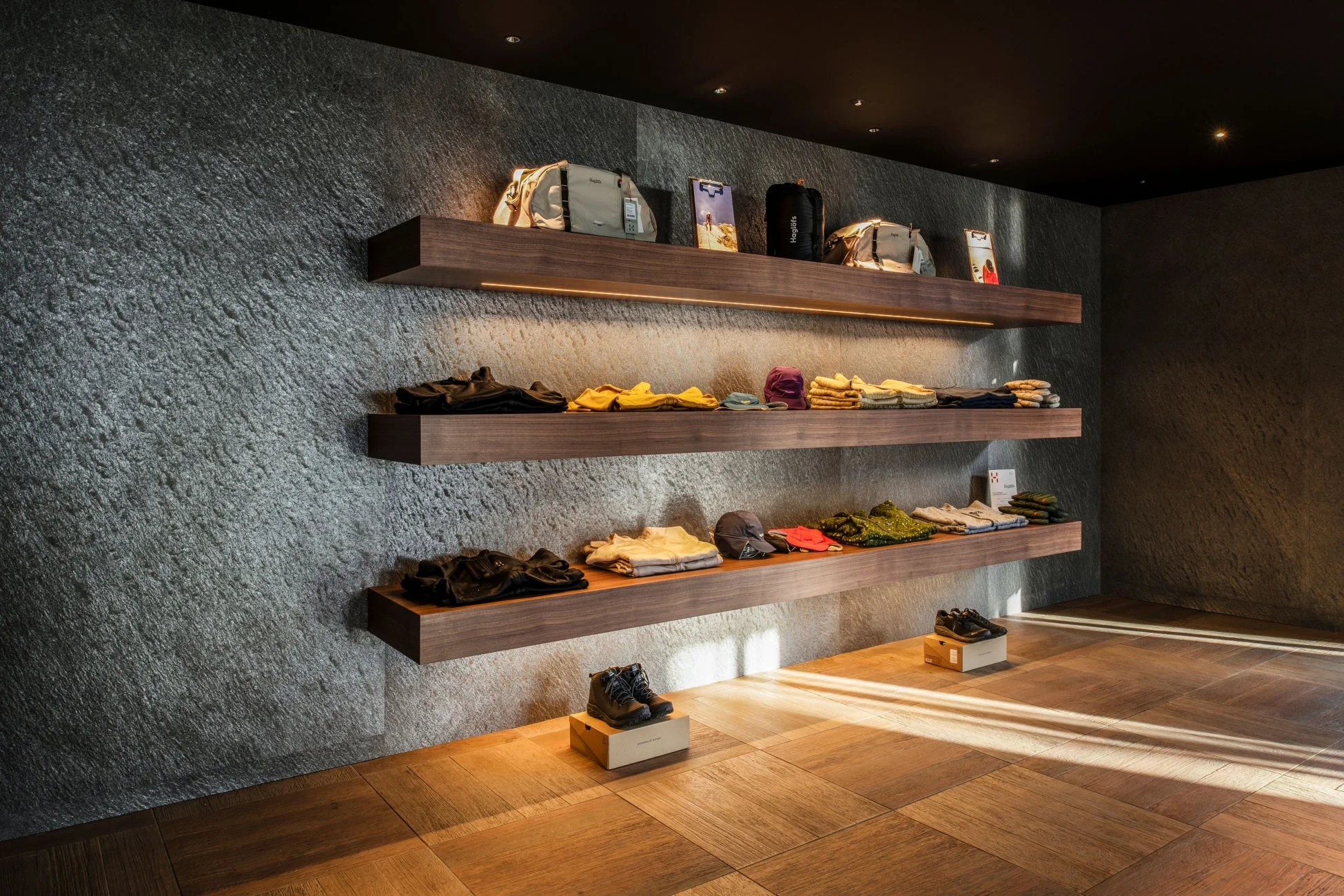 ホグロフスギア