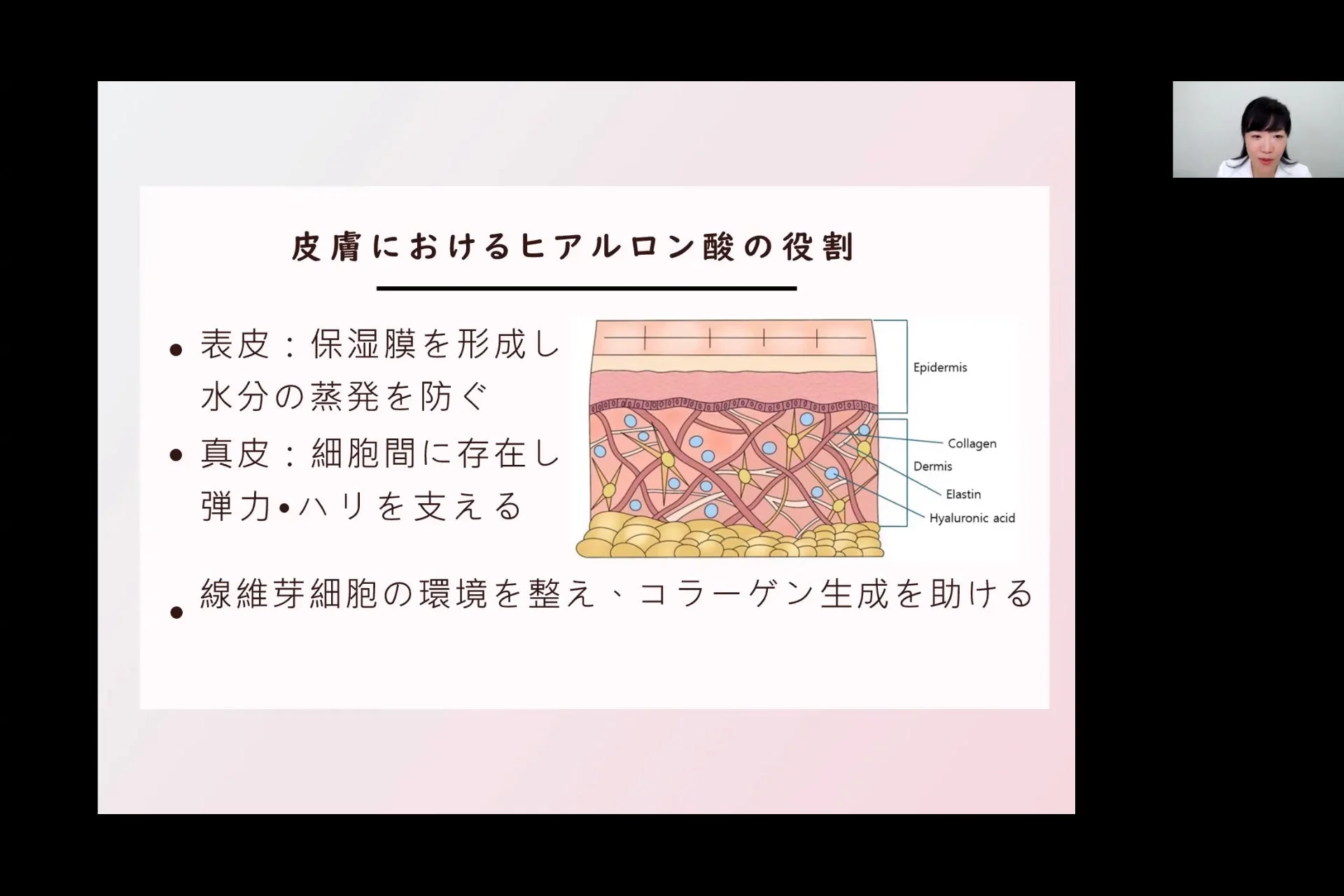 皮膚におけるヒアルロン酸の役割
