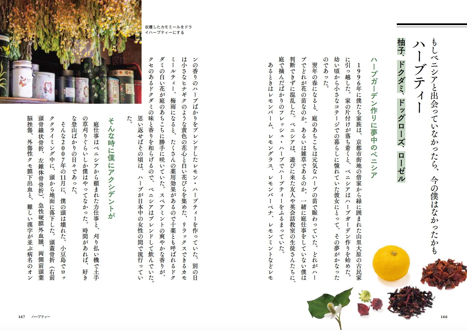 ハーブガーデン作りに夢中のベニシア